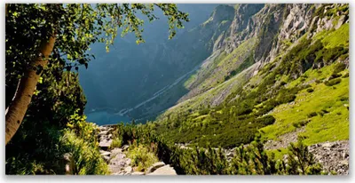 Produktbild von Tulup Leinwand-Bilder 140x70 Wandbild Canvas Kunstdruck Gebirge Wald Natur