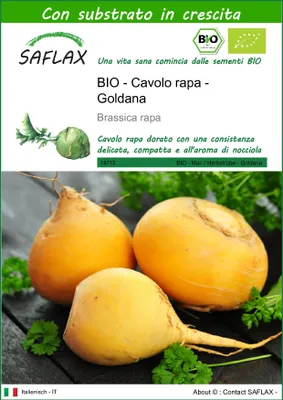 Immagine prodotto di SAFLAX  -- Cavolo rapa - Goldana - 500 semi - Con substrato - Brassica
