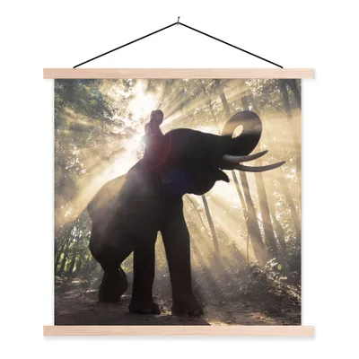 Produktbild von MuchoWow® Textilposter Elefant mit Person in hellem Sonnenlicht 40x40 cm mit holzfarbenen Rahmen - Posterleiste