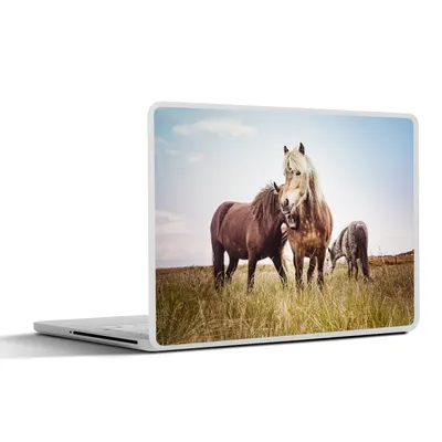 Produktbild von MuchoWow® Laptop Aufkleber Sticker Cover Pferde - Gras - Frühling 30x21 cm - Sticker für Laptop - Selbstklebend
