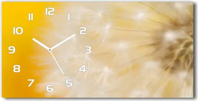 Produktbild von Wanduhr aus Glas – 60x30 cm - Glasbild - Glasuhr - Gehärtetes Glas - weisse-zeiger - Löwenzahn