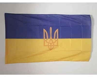 Ukraine Flagge 90 x 60 cm Polyester Fahne mit Wappen und Ösen