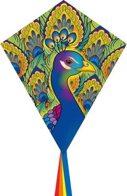 Obrázok produktu pre Detský šarkan HQ Eddy 70 Peacock 102117 Modrý 58 x 70 cm + 250 cm chvost