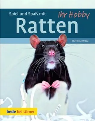 Image de Spiel und Spaß mit Ratten