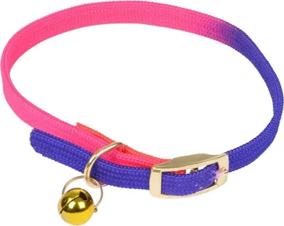 Obrázek produktu pro Obojek pro kočku, 30 cm, neonový, fialový a růžový