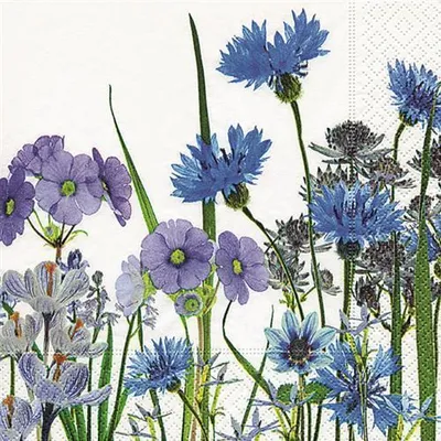 Produktbild von 20 Servietten Blue Meadow - Blaue Blumenwiese 33x33cm