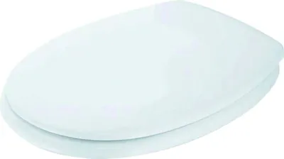 Immagine prodotto di Ideal Standard Ideal Standard Cerniere per sedile WC in acciaio inox, bianco, 1 pz.