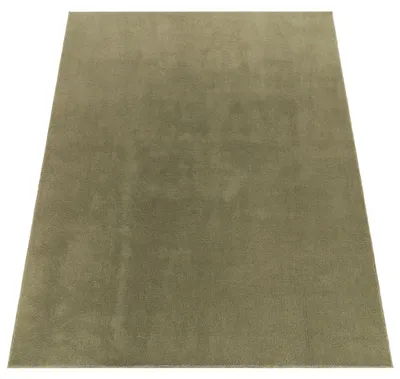 Produktbild von Paco Home Waschbarer Teppich Wohnzimmer Kurzflor Einfarbiger Moderner Stil Weich 240x340 cm