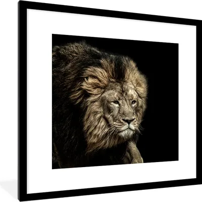 Produktbild von MuchoWow® MuchoWow® Gerahmtes Poster Löwe - Tiere - Schwarz 40x40 cm - Poster mit zchwarzem Bilderrahmen - Poster - Plakat im Rahmen