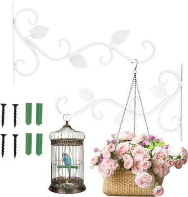 Immagine prodotto di Set di ganci per piante, composto da 2 pezzi, da montare a parete, in ferro, colore bianco, per vasi da fiori