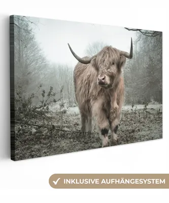 Produktbild von MuchoWow® - Leinwandbilder - Schottische Highlander - Natur - Herbst - Tiere - Wildtiere - Wald, Wandbild, Wanddeko Bilder Wohnzimmer, 120x80 cm