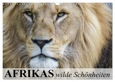 Produktbild von Afrikas wilde Schönheiten (Wandkalender 2027 DIN A3 quer), CALVENDO Monatskalender