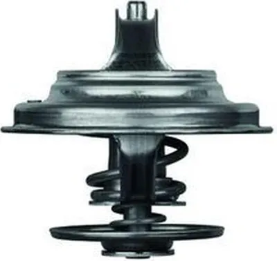 Image de Thermostat Mahle pour