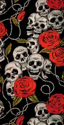 Produktbild von Modeka Skulls Roses Multifunktionstuch