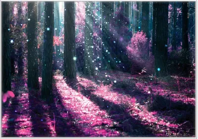 Produktbild von Wallario Wandbild Fantasie im Wald - Pinke Blumen in der Sonne, Größe: 70,30 x 100,30 cm, Poster mit weißem Kunststoffrahmen