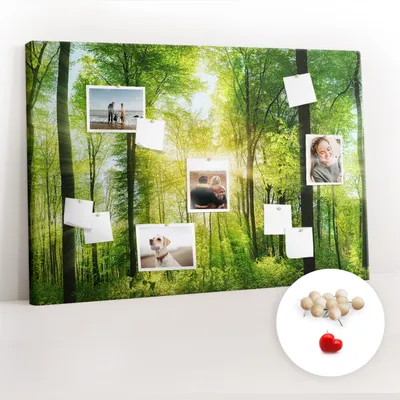 Obrázok produktu pre Korková tabuľa Tabuľa na poznámky Tabuľa na špendlíky - učebná pomôcka 120x80 cm - 100ks drevených  kolíkov - Prírodné lesné stromy