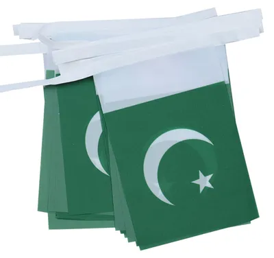 Wimpelkette Pakistan 6 m, 20 Flaggen, Polyester 21x15 cm