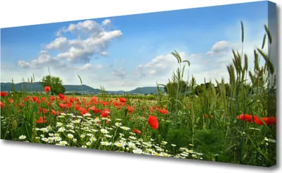 Produktbild von Tulup Leinwand-Bilder 125x50 Wandbild Canvas Kunstdruck Wiese Blumen Natur