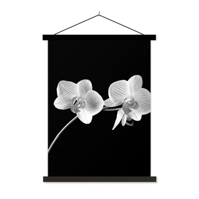 Produktbild von MuchoWow® Textilposter Orchidee - Blumen - Schwarz - Rosa - Knöpfe 60x80 cm mit schwarzem Rahmen - Plakathalter
