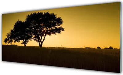 Produktbild von Acrylglasbilder 125x50 Wandbild Druck Bäume Natur
