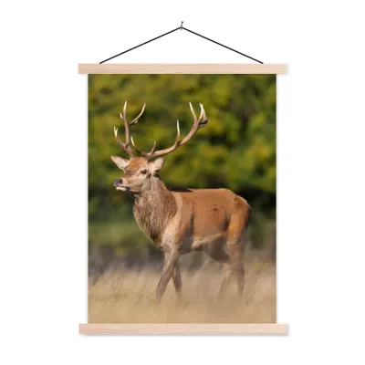 Produktbild von MuchoWow® Textilposter Tiere - Hirsche - Geweihe - Waldtiere - Natur 60x80 cm mit holzfarbenen Rahmen - Wandbild