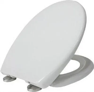 A white toilet seat is shown from a slightly elevated angle against a white background.