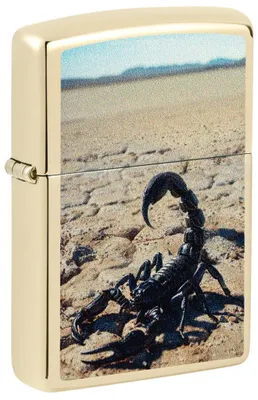 Produktbild von Zippo Feuerzeug Skorpion 60007637 Benzin Windproof