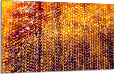 Produktbild von Glasschutzplatte für den Herd 80x52 Honig