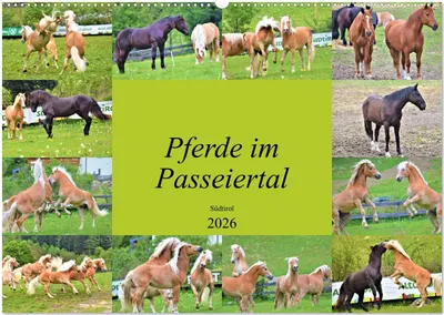 Produktbild von Pferde im Passeiertal (Wandkalender 2026 DIN A2 quer), CALVENDO Monatskalender