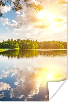 Produktbild von MuchoWow® Poster Bäume - Wasser - Sonne 40x60 cm - Plakate für die Wand - Poster Babyzimmer