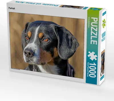 Produktbild von CALVENDO Puzzle Portrait | 1000 Teile Lege-Größe 64x48cm Foto-Puzzle für glückliche Stunden