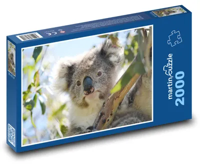 Obrázok produktu pre martinpuzzle - Puzzle 2000 - Koala - vacnatiec