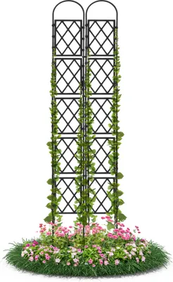 Produktbild von Wandspalier Schwarz 60x240 cm mit Bogen Rankgitter Pflanzenstütze Gitterspalier für Garten