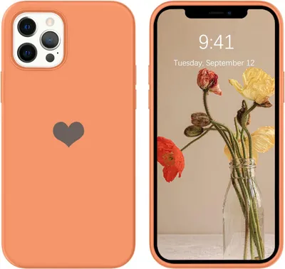 Produktbild von Hülle für iPhone 12 Pro Max 6.7' Orange Silikon Strong
