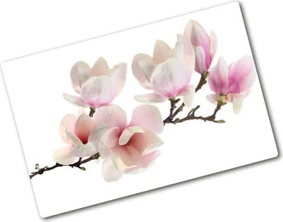 Produktbild von Tulup Glas Herdabdeckplatte - 80x52 cm - Glaskeramikkochfeld-Abdeckung Spritzschutz Glasabdeckplatte - Einteilig - Blumen & Pflanzen - Magnolie - Rosa