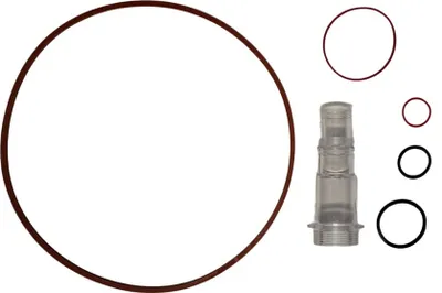 A collection of O-rings and a clear plastic component, likely a filter part, arranged on a white background.