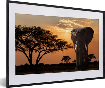 Produktbild von MuchoWow® MuchoWow® Gerahmtes Poster Elefant - Baum - Afrika 60x40 cm - Poster mit zchwarzem Bilderrahmen - Schlafzimmer - Plakat in Rahmen - Drucken