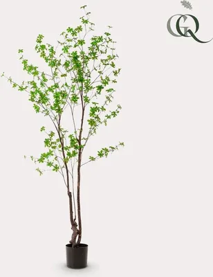 Produktbild von Famanu Kunstpflanze Tropaeolum Speciosum - 210 cm