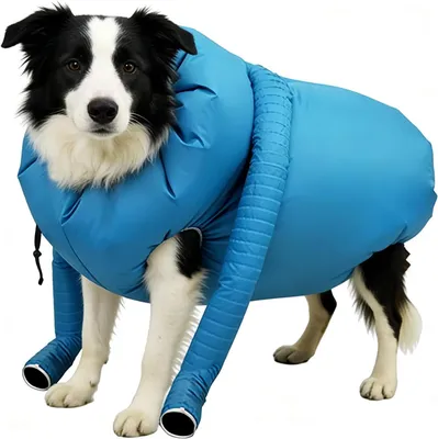 Productafbeelding van Hondenföhn Droogzak - Honden Droger - Huisdier Drogen - Efficiënte Luchtstroom - Diverse Maten - Zwart