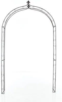 Produktbild von TPFGarden Rosenbogen Anra bronze