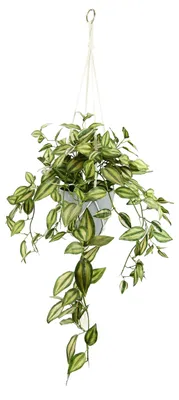 Immagine prodotto di Flair Flower: Vaso pensile con pianta artificiale Tradescantia