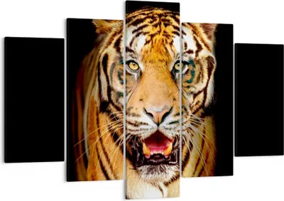 Produktbild von Bild auf Leinwand - Leinwandbild - tiger tier - 150x100cm - Wand Bild - Wanddeko - Wandbilder - Leinwanddruck - Bilder - Kunstdruck - Wanddekoration - Leinwand bilder - Wandkunst - EA150x100-4103