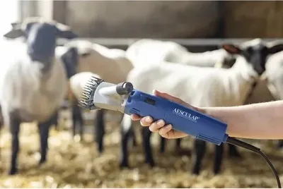Produktbild von Aesculap GT 694 Veeshear Econom Nova