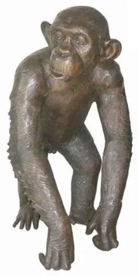 Obrázek produktu pro Casa Padrino bronzová postava šimpanze bronz 45 x 60 x v. 78 cm - dekorativní figurální plastika