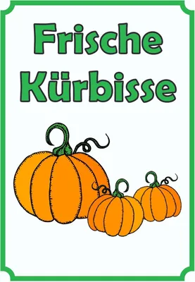 Produktbild von Verkaufsschild Schild Kürbis Hochkant A3 Rückseite selbstklebend