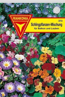 Produktbild von Schlingpflanzen-Mischung