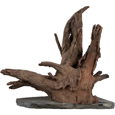 Produktbild von Sera Scaper Wood Aquarium Wurzel auf Schieferplatte 30-35 cm, direkt platzierbar