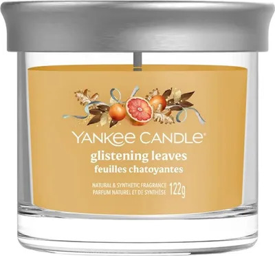 Obrázek produktu pro Yankee Candle 2652628E, Kulatý, Oranžová, Průhledná, Dýně, 30 h, 1 kusů