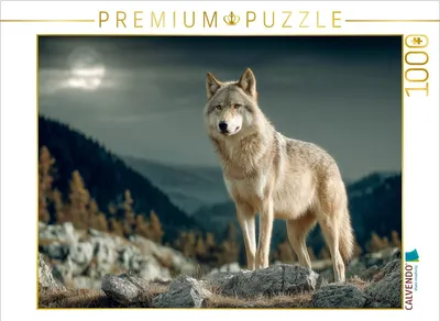 Produktbild von CALVENDO Puzzle Wolf im Mondlicht | 1000 Teile Lege-Größe 64x48cm Foto-Puzzle für glückliche Stunden