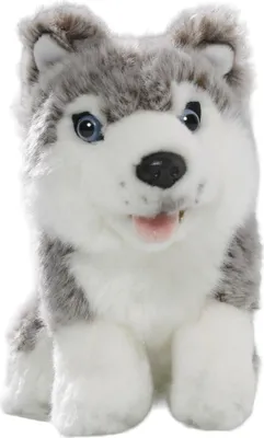 Immagine prodotto di Carl Dick Husky seduto ca. 19cm 2887 Peluche, peluche, peluche